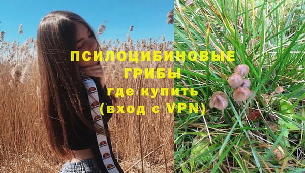 МДМА Карпинск