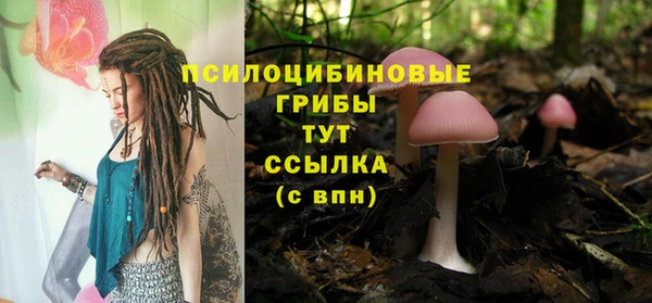 МДМА Карпинск