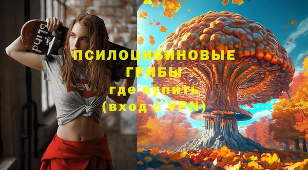 МДМА Карпинск