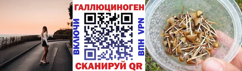 Купить закладки  Бирюч  Псилоцибиновые грибы мицелий 